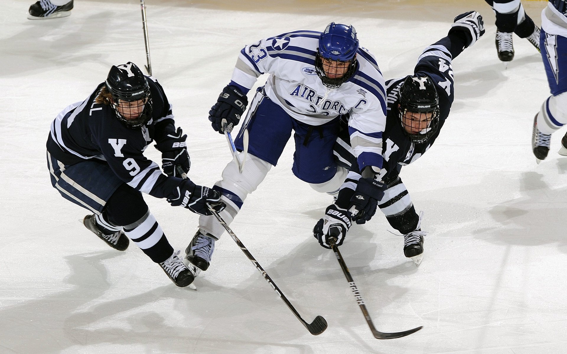中国香港队赛制亮点:如何依托赛制提升整体实力,香港队再添一枚金牌