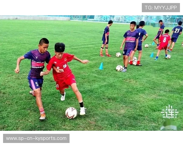 中国青训体系优化升级，培养适应未来需求的足球人才，中国足球青训体系现状